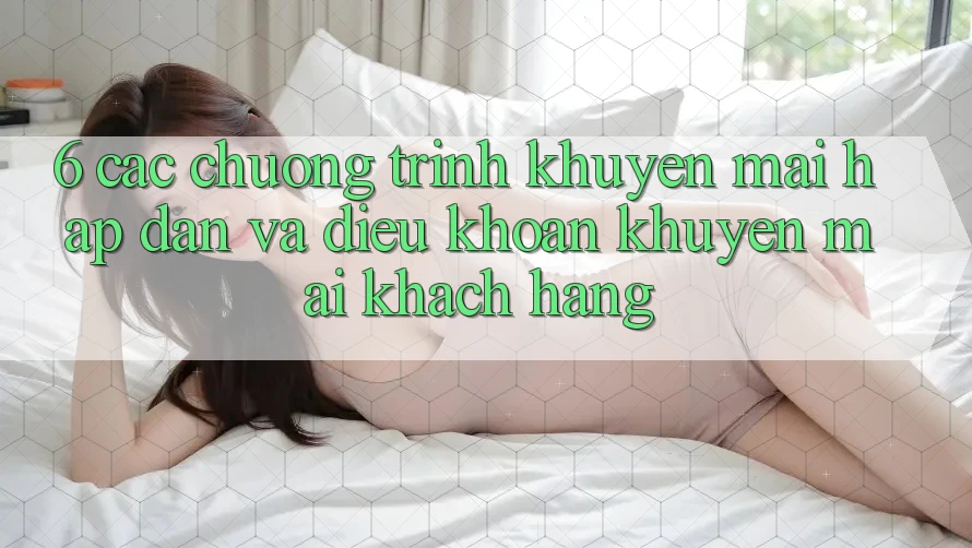 6. Các chương trình khuyến mãi hấp dẫn và điều khoản khuyến mãi khách hàng 6. Các chương trình khuyến mãi hấp dẫn và điều khoản khuyến mãi khách hàng
