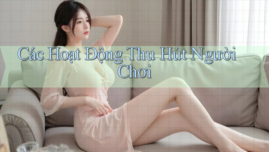 Các Hoạt Động Thu Hút Người Chơi Các Hoạt Động Thu Hút Người Chơi
