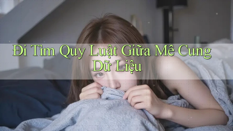 Đi Tìm Quy Luật Giữa Mê Cung Dữ Liệu