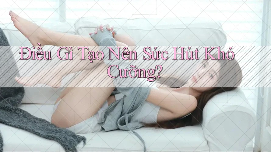Điều gì tạo nên sức hút khó cưỡng?