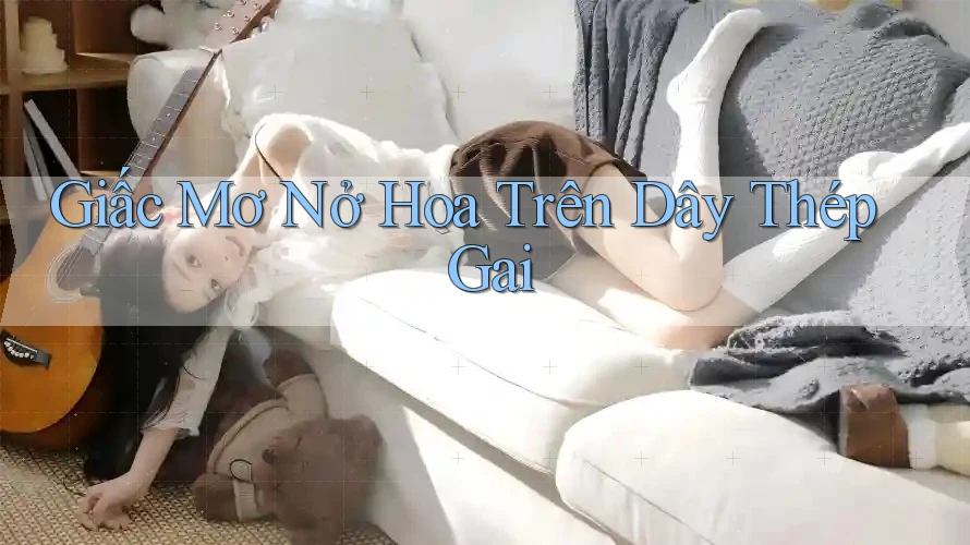 Giấc Mơ Nở Hoa Trên Dây Thép Gai Giấc Mơ Nở Hoa Trên Dây Thép Gai