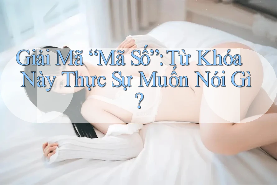 Giải Mã “Mã Số”: Từ Khóa Này Thực Sự Muốn Nói Gì? Giải Mã “Mã Số”: Từ Khóa Này Thực Sự Muốn Nói Gì?