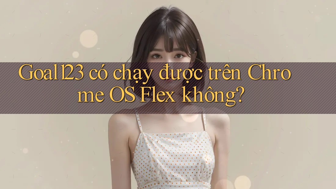 Goal123 có chạy được trên Chrome OS Flex không?