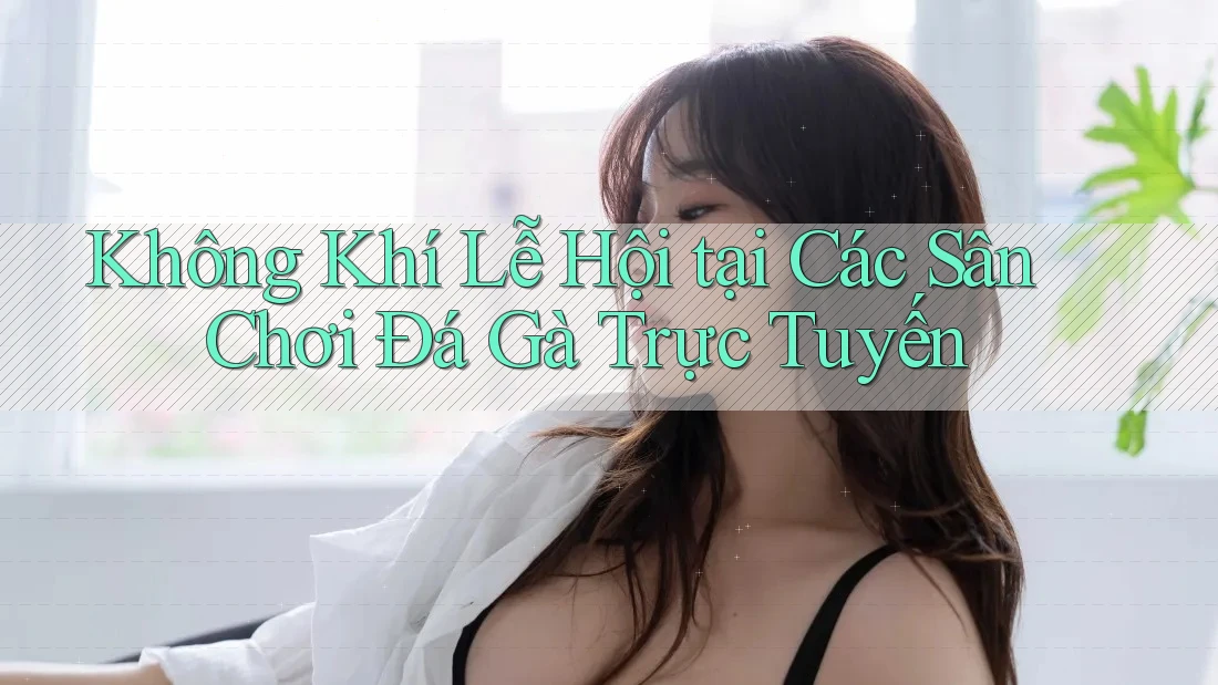 Không Khí Lễ Hội tại Các Sân Chơi Đá Gà Trực Tuyến