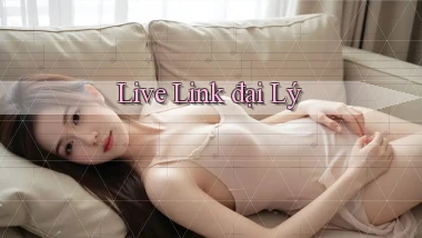 Live Link đại lý