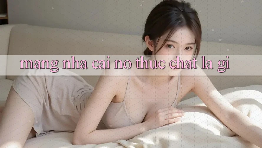 “Mạng Nhà Cái” – Nó Thực Chất Là Gì?