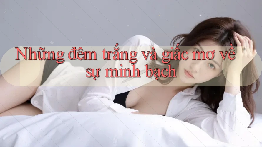 Những đêm trắng và giấc mơ về sự minh bạch Những đêm trắng và giấc mơ về sự minh bạch