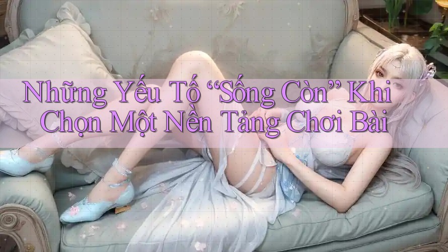 Những Yếu Tố “Sống Còn” Khi Chọn Một Nền Tảng Chơi Bài