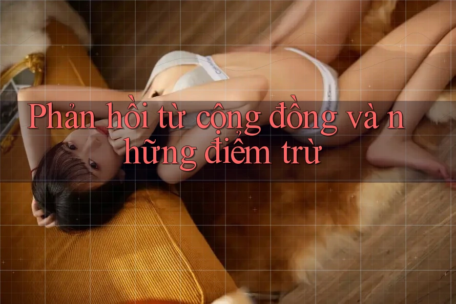 Phản hồi từ cộng đồng và những điểm trừ Phản hồi từ cộng đồng và những điểm trừ