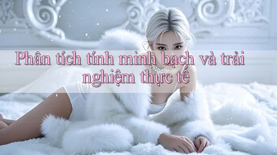 Phân tích tính minh bạch và trải nghiệm thực tế