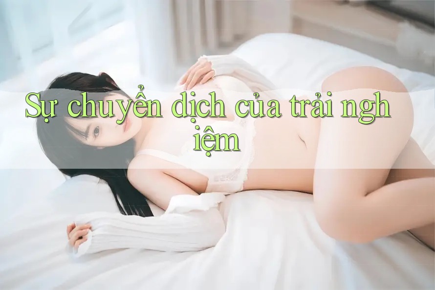 Sự chuyển dịch của trải nghiệm