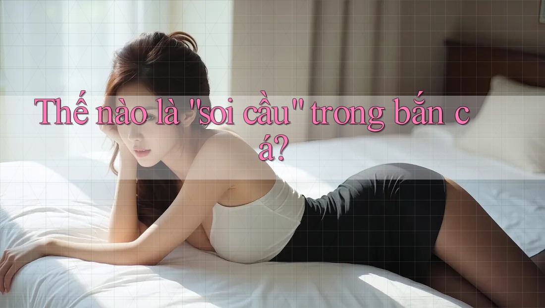 Thế nào là “soi cầu” trong bắn cá? Thế nào là “soi cầu” trong bắn cá?